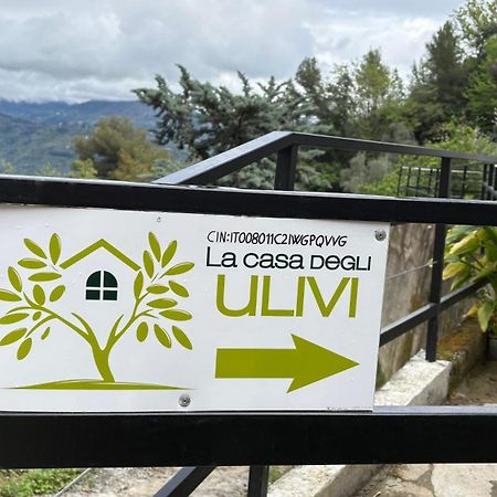 Vila La Casa Degli Ulivi Camporosso  Exteriér fotografie