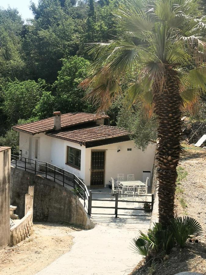 Vila La Casa Degli Ulivi Camporosso  Exteriér fotografie